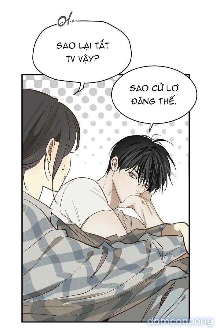 Đóa Hoa Là Mồi Nhử 