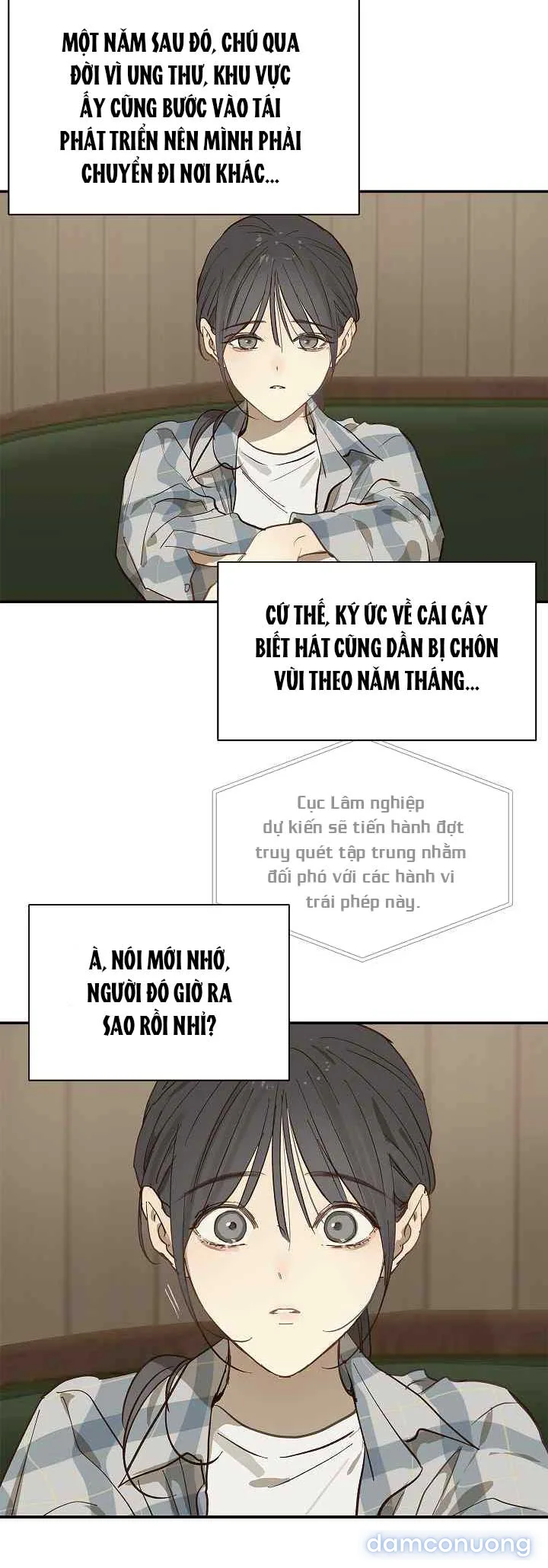 Đóa Hoa Là Mồi Nhử 