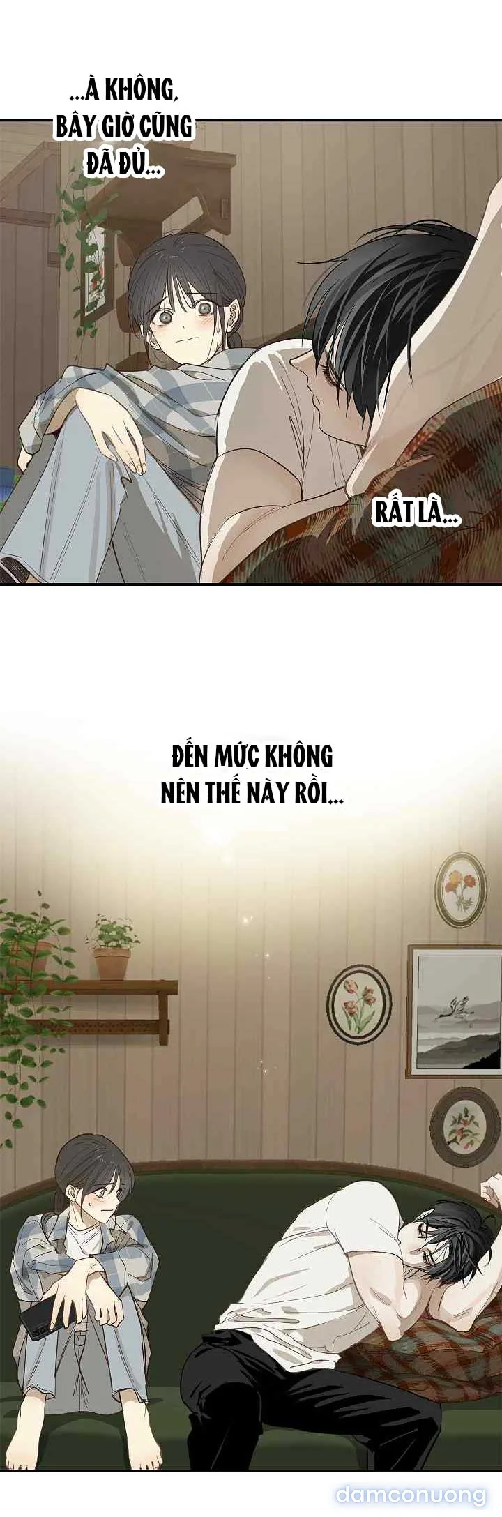 Đóa Hoa Là Mồi Nhử 