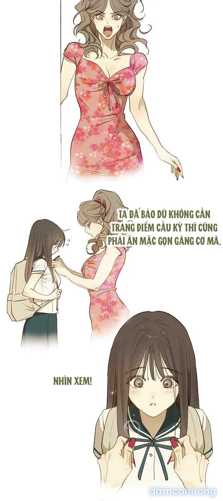 Đóa Hoa Là Mồi Nhử 