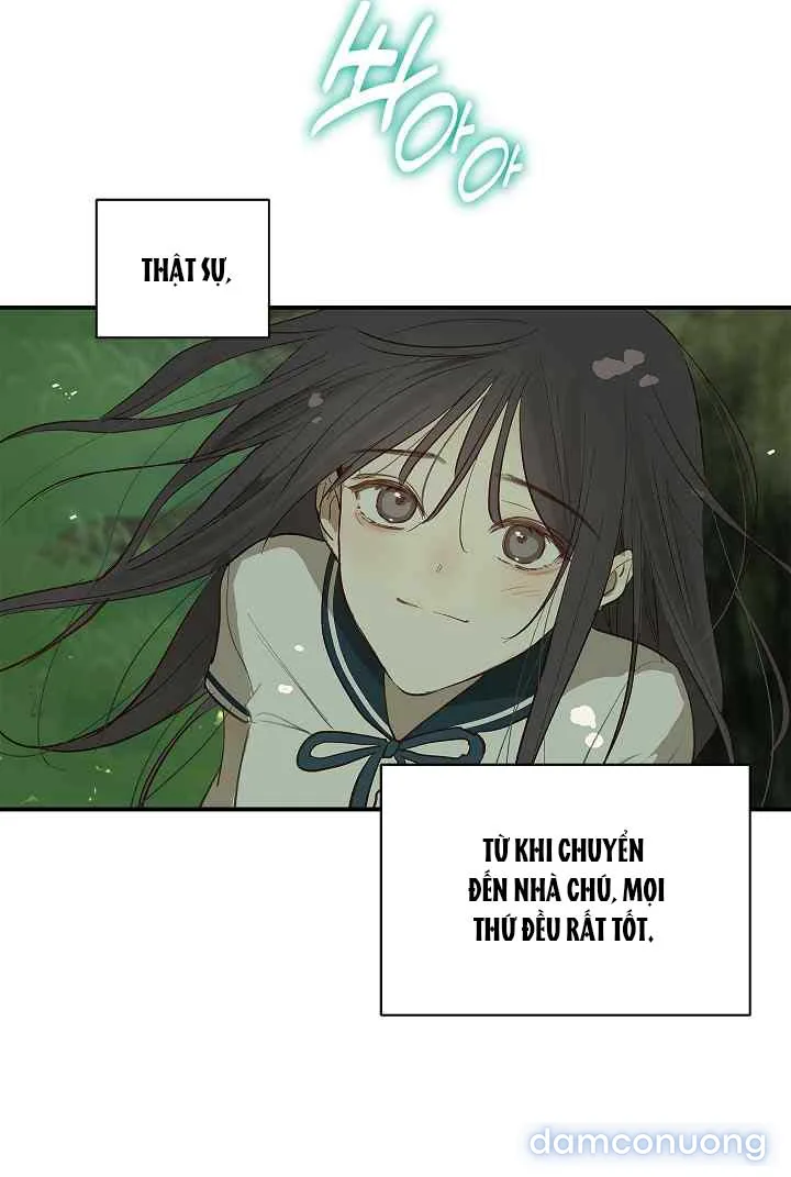 Đóa Hoa Là Mồi Nhử 