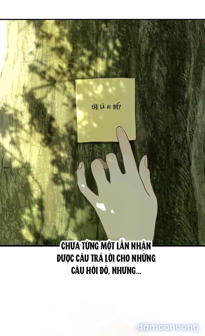 Đóa Hoa Là Mồi Nhử 