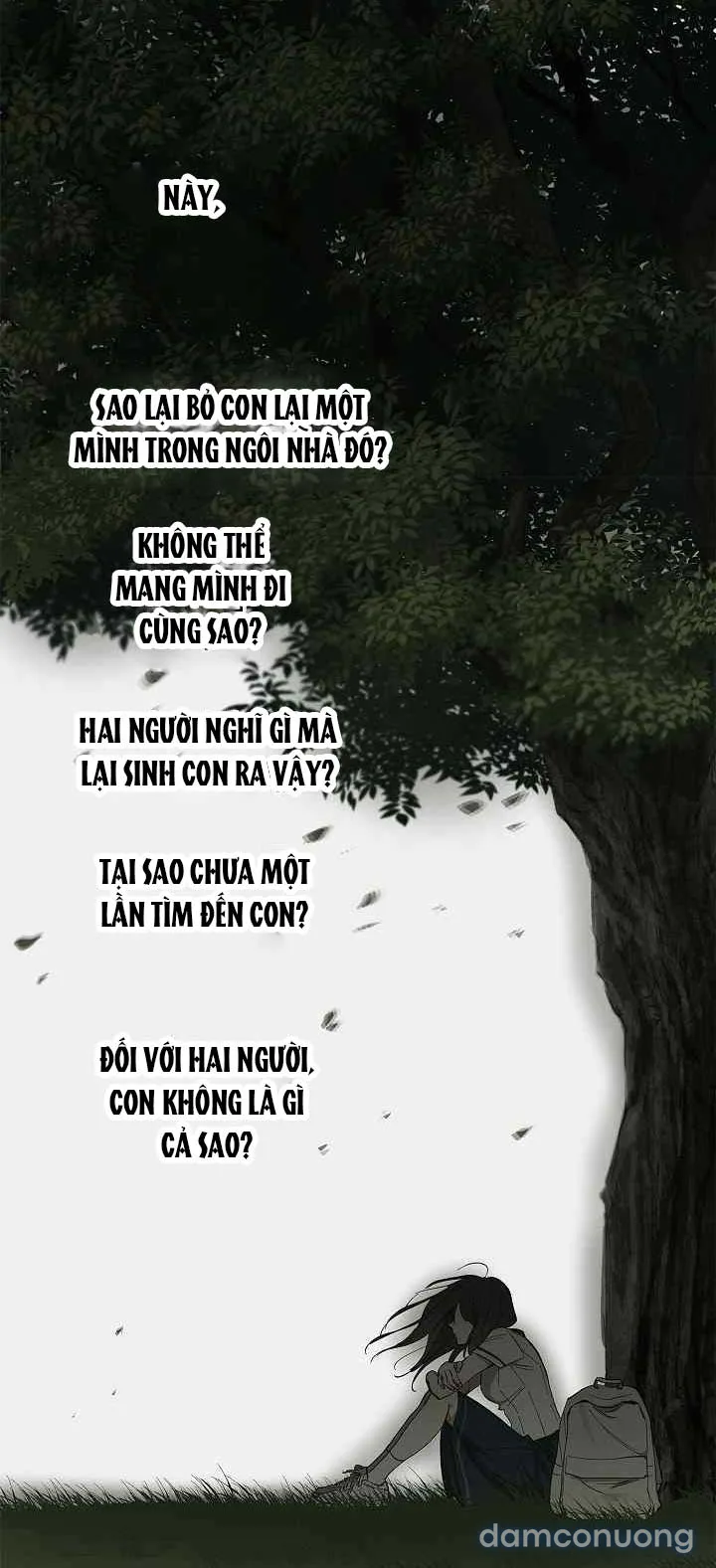 Đóa Hoa Là Mồi Nhử 