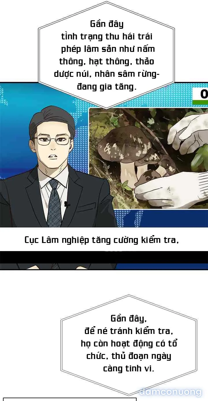Đóa Hoa Là Mồi Nhử 
