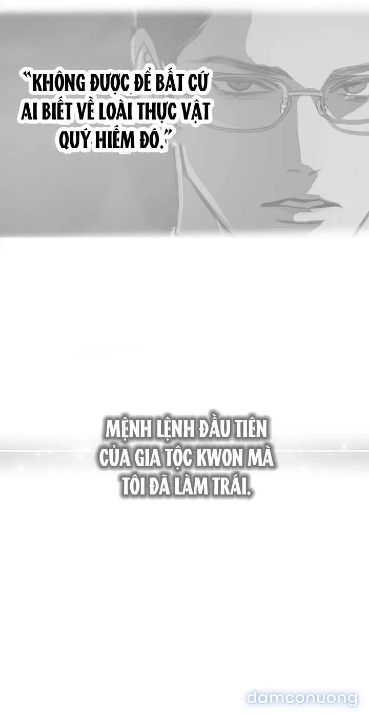 Đóa Hoa Là Mồi Nhử 