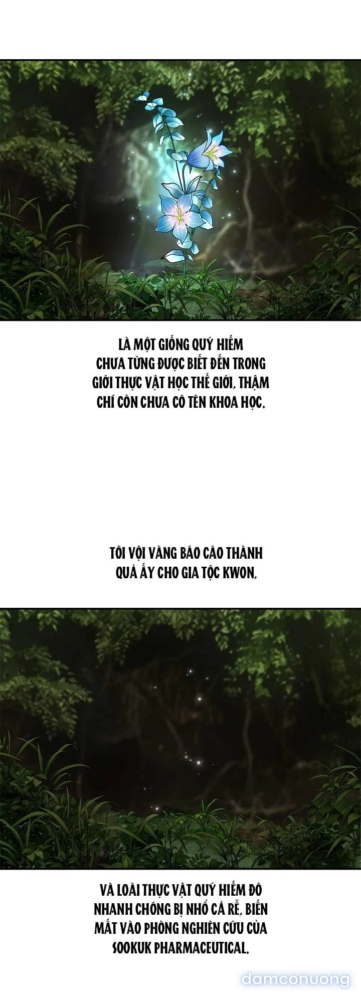 Đóa Hoa Là Mồi Nhử 
