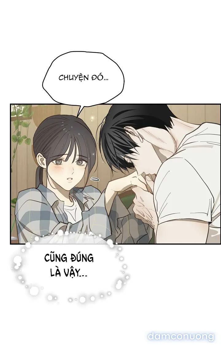 Đóa Hoa Là Mồi Nhử 