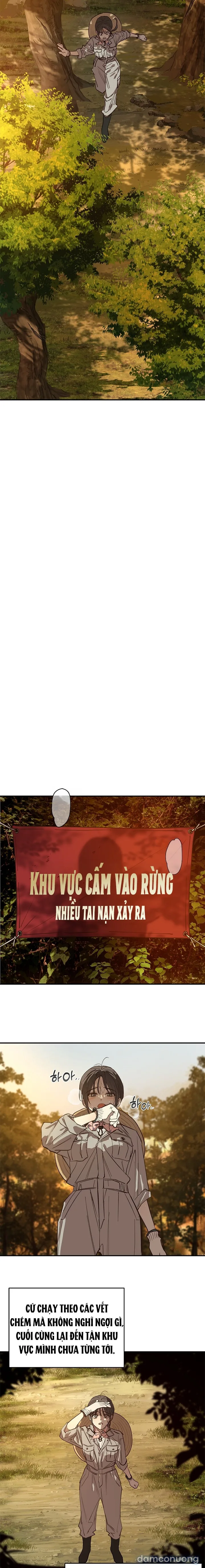 Đóa Hoa Là Mồi Nhử 