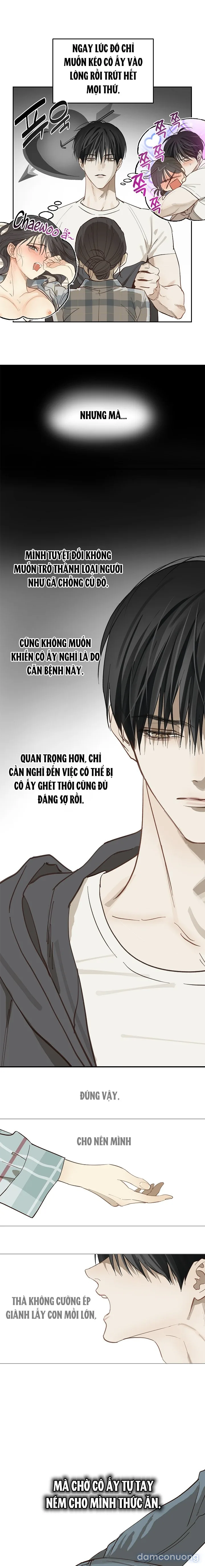 Đóa Hoa Là Mồi Nhử 