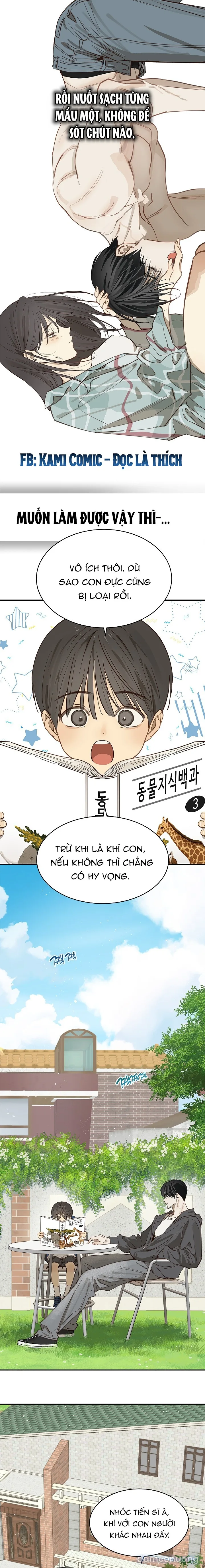 Đóa Hoa Là Mồi Nhử 