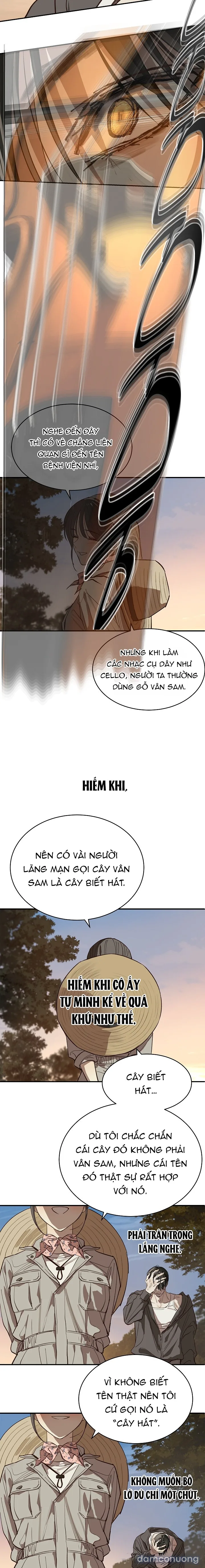 Đóa Hoa Là Mồi Nhử 