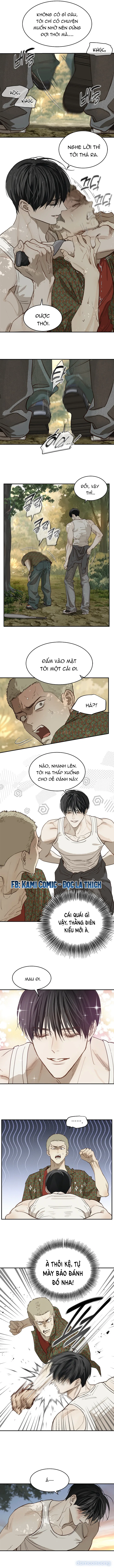 Đóa Hoa Là Mồi Nhử 