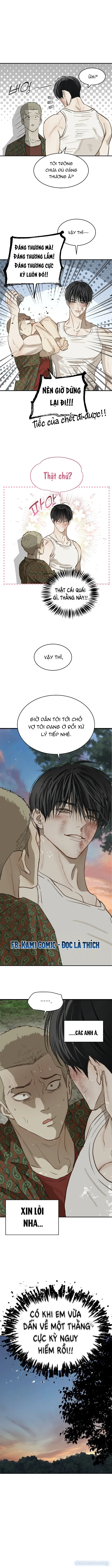 Đóa Hoa Là Mồi Nhử 