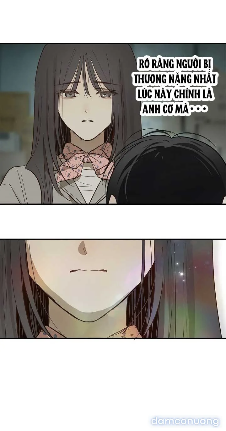 Đóa Hoa Là Mồi Nhử 