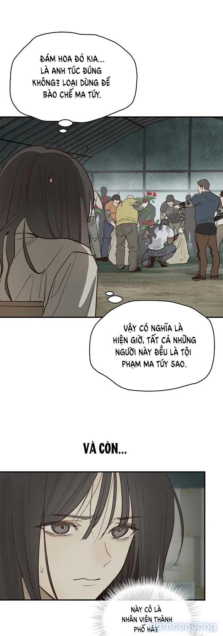 Đóa Hoa Là Mồi Nhử 