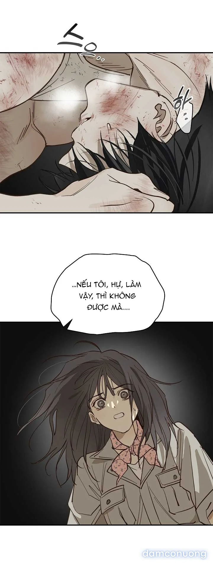 Đóa Hoa Là Mồi Nhử 