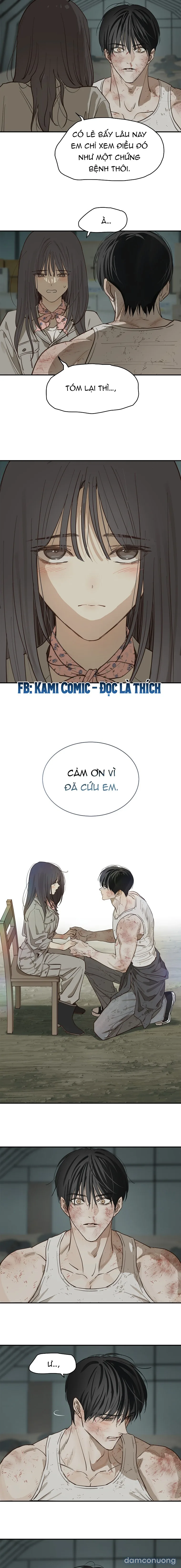 Đóa Hoa Là Mồi Nhử 
