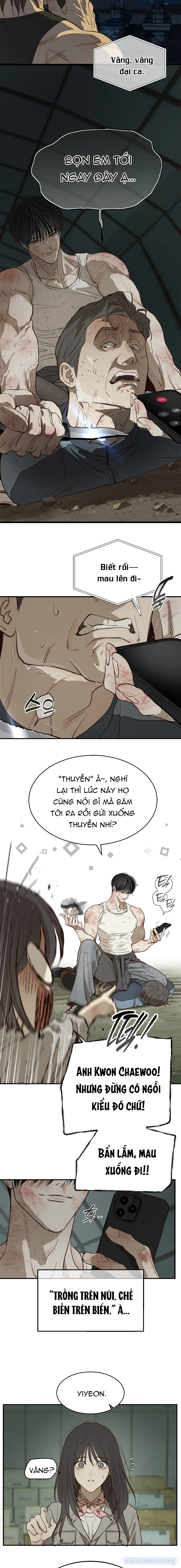 Đóa Hoa Là Mồi Nhử 