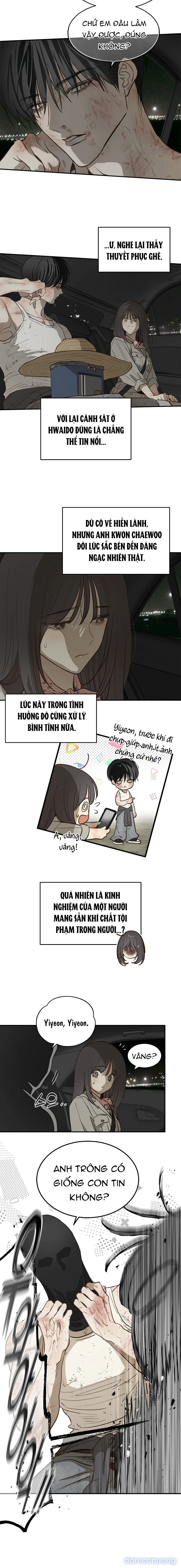 Đóa Hoa Là Mồi Nhử 