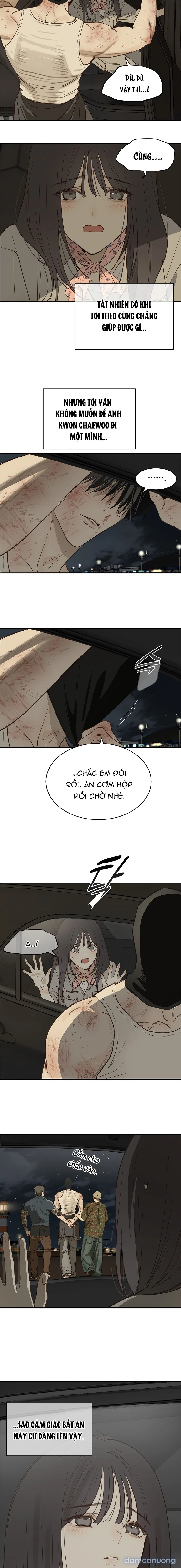Đóa Hoa Là Mồi Nhử 