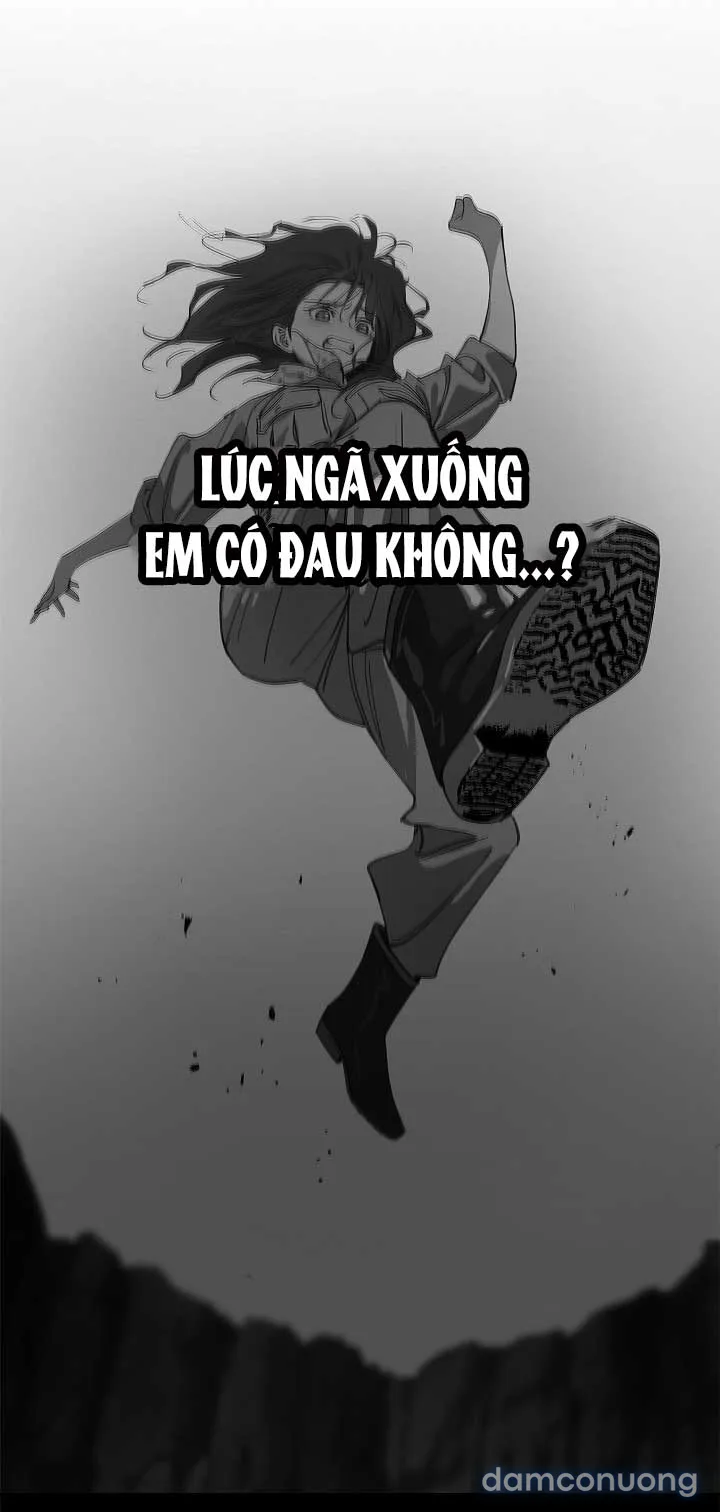 Đóa Hoa Là Mồi Nhử 