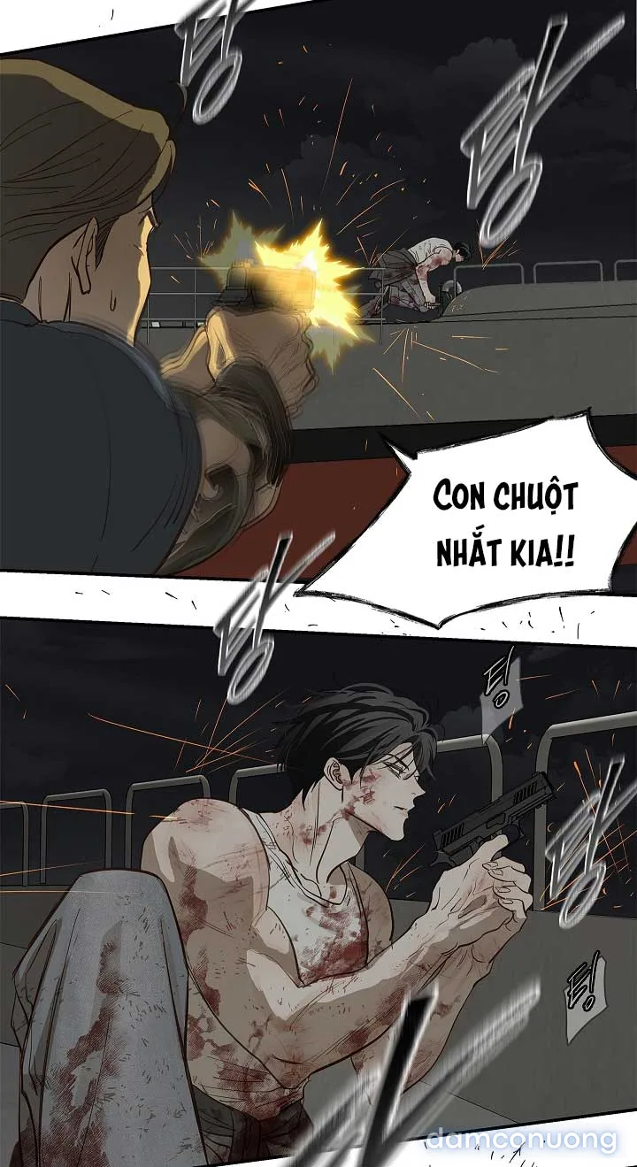 Đóa Hoa Là Mồi Nhử 