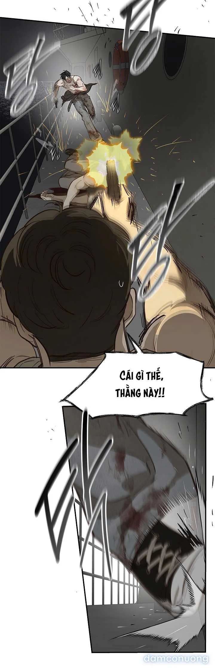 Đóa Hoa Là Mồi Nhử 