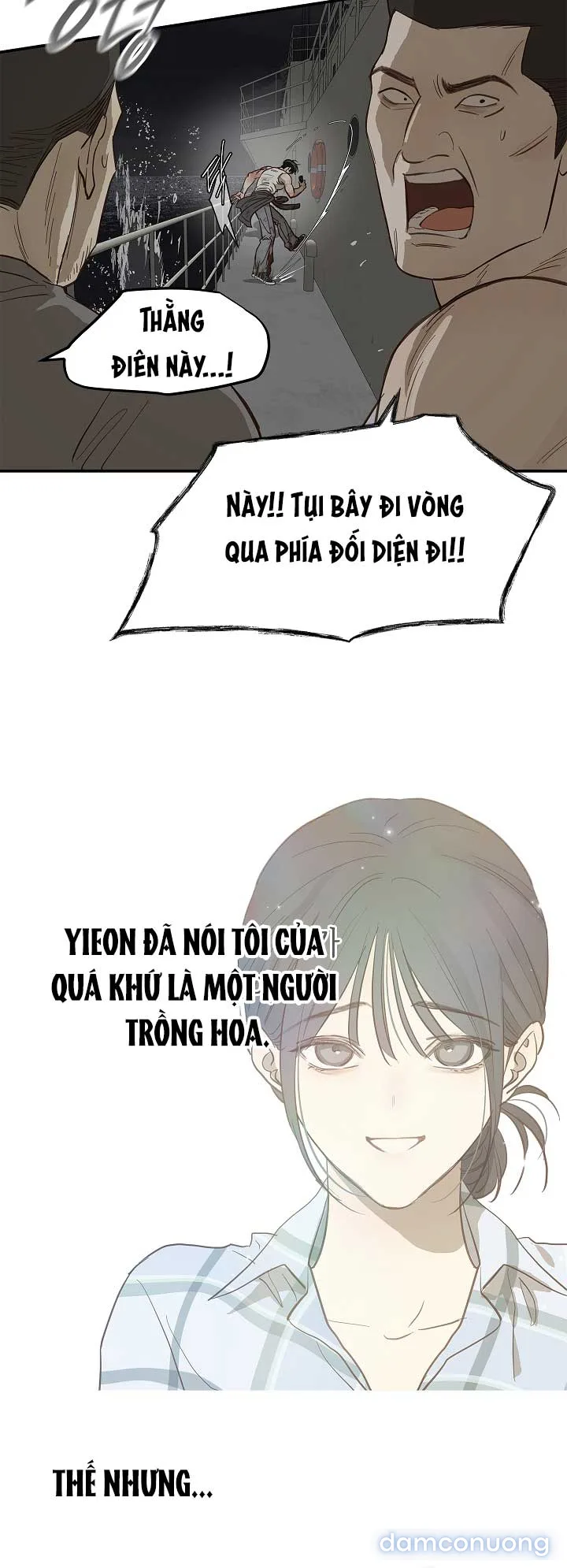 Đóa Hoa Là Mồi Nhử 