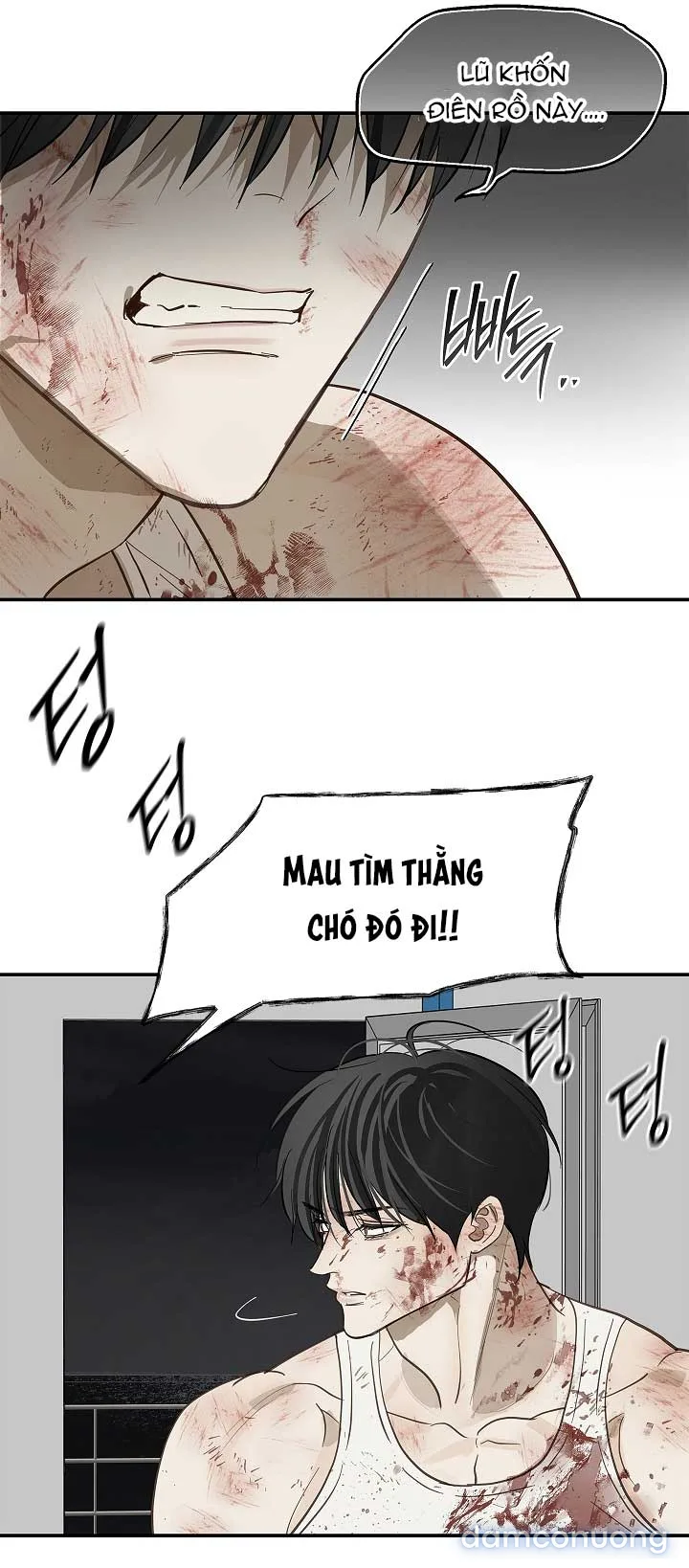 Đóa Hoa Là Mồi Nhử 