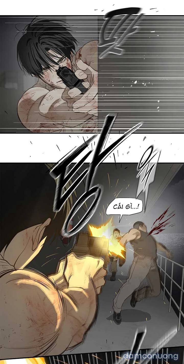 Đóa Hoa Là Mồi Nhử 