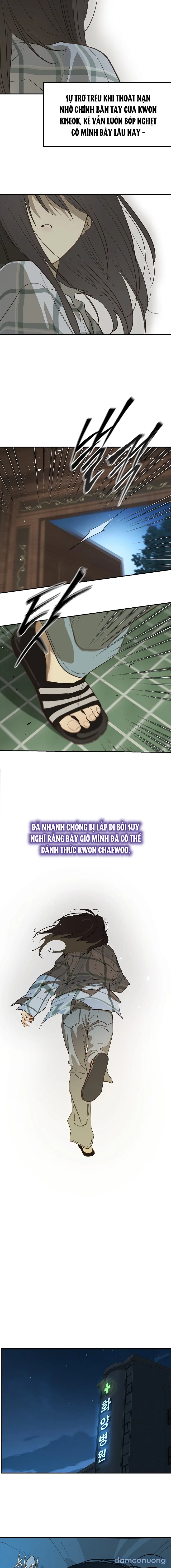 Đóa Hoa Là Mồi Nhử 