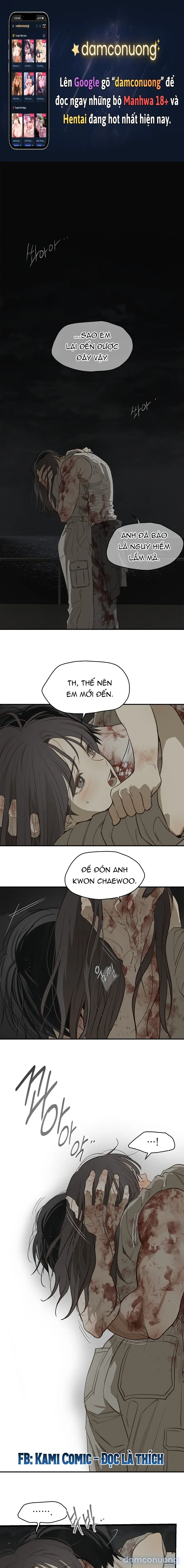 Đóa Hoa Là Mồi Nhử 