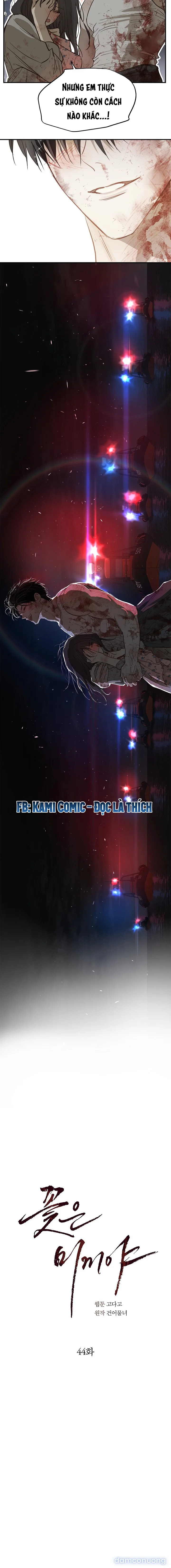 Đóa Hoa Là Mồi Nhử 