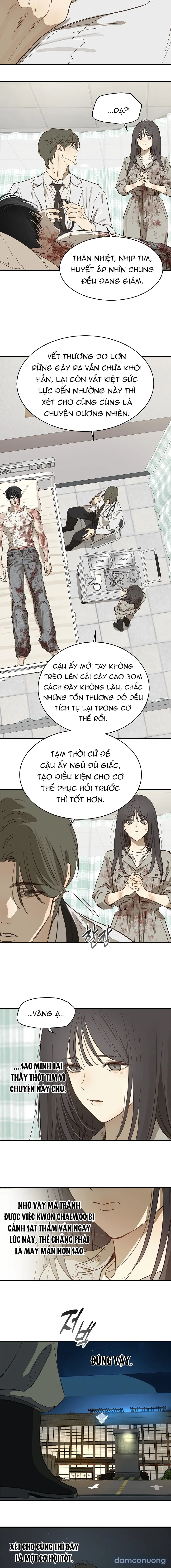 Đóa Hoa Là Mồi Nhử 