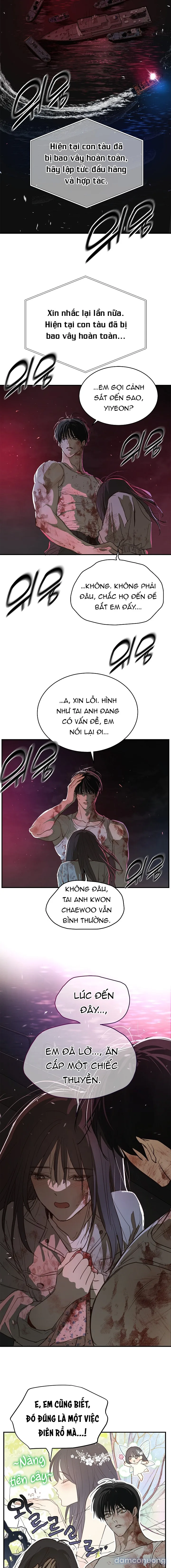 Đóa Hoa Là Mồi Nhử 