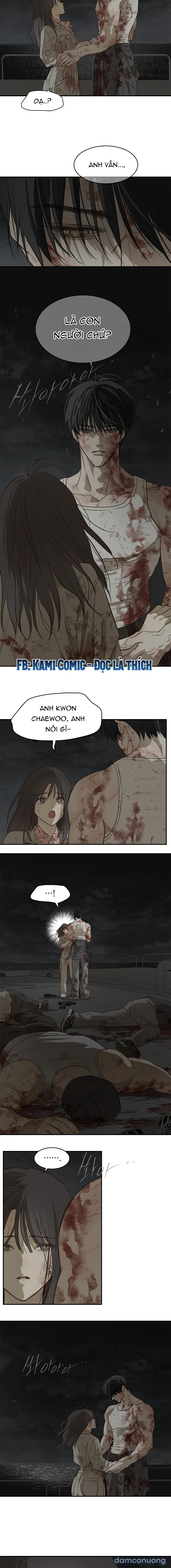 Đóa Hoa Là Mồi Nhử 