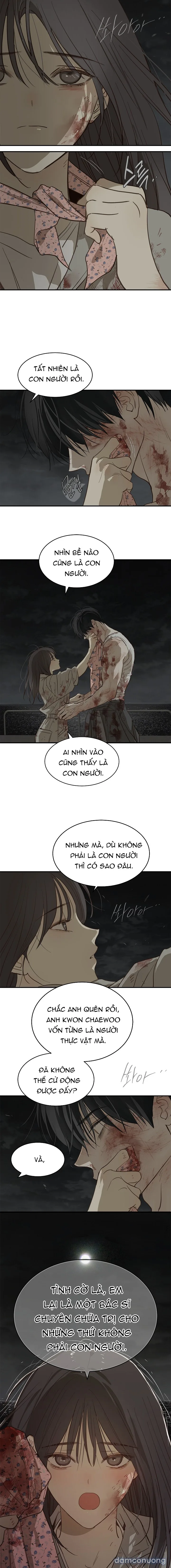 Đóa Hoa Là Mồi Nhử 