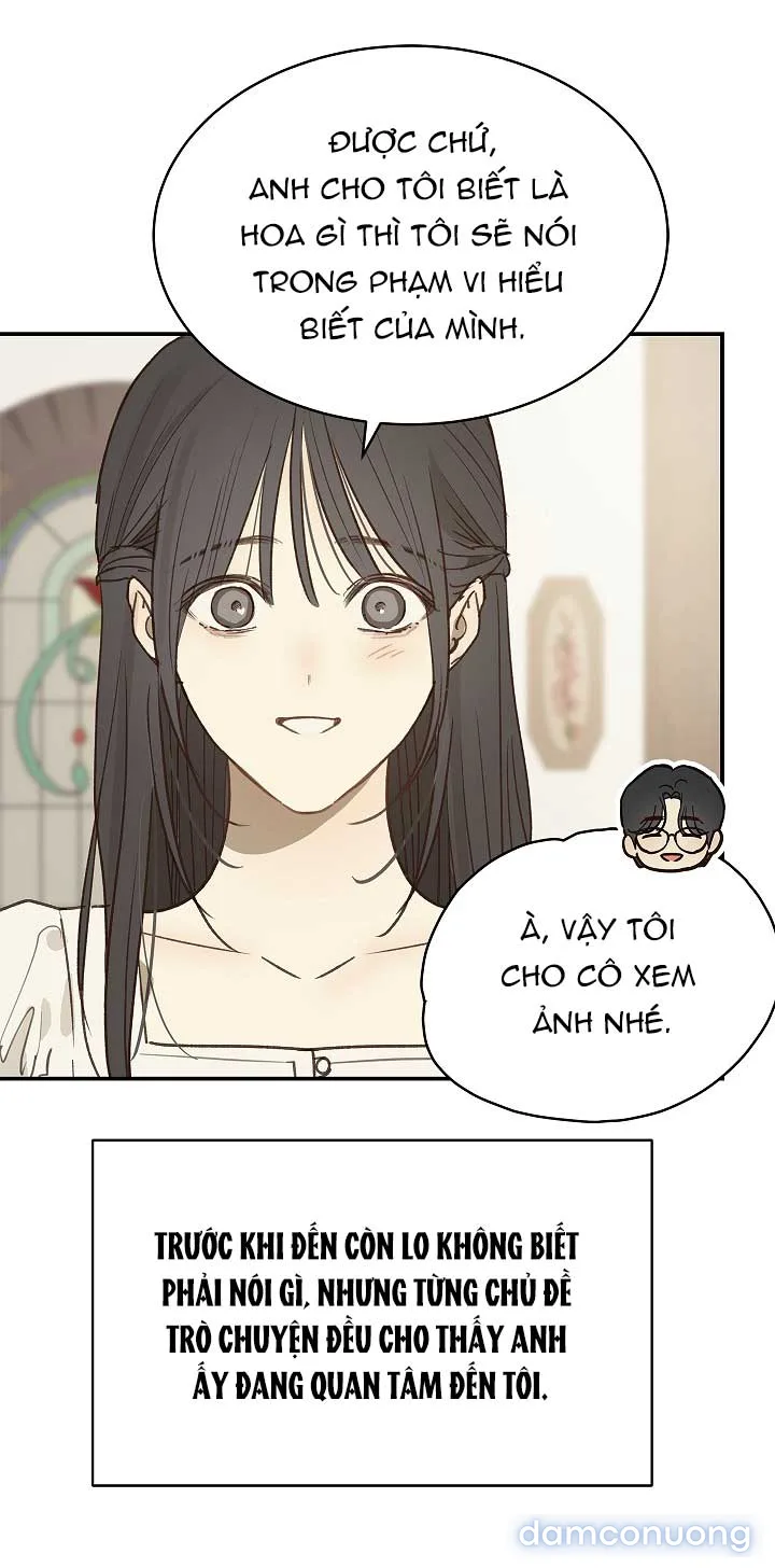 Đóa Hoa Là Mồi Nhử 