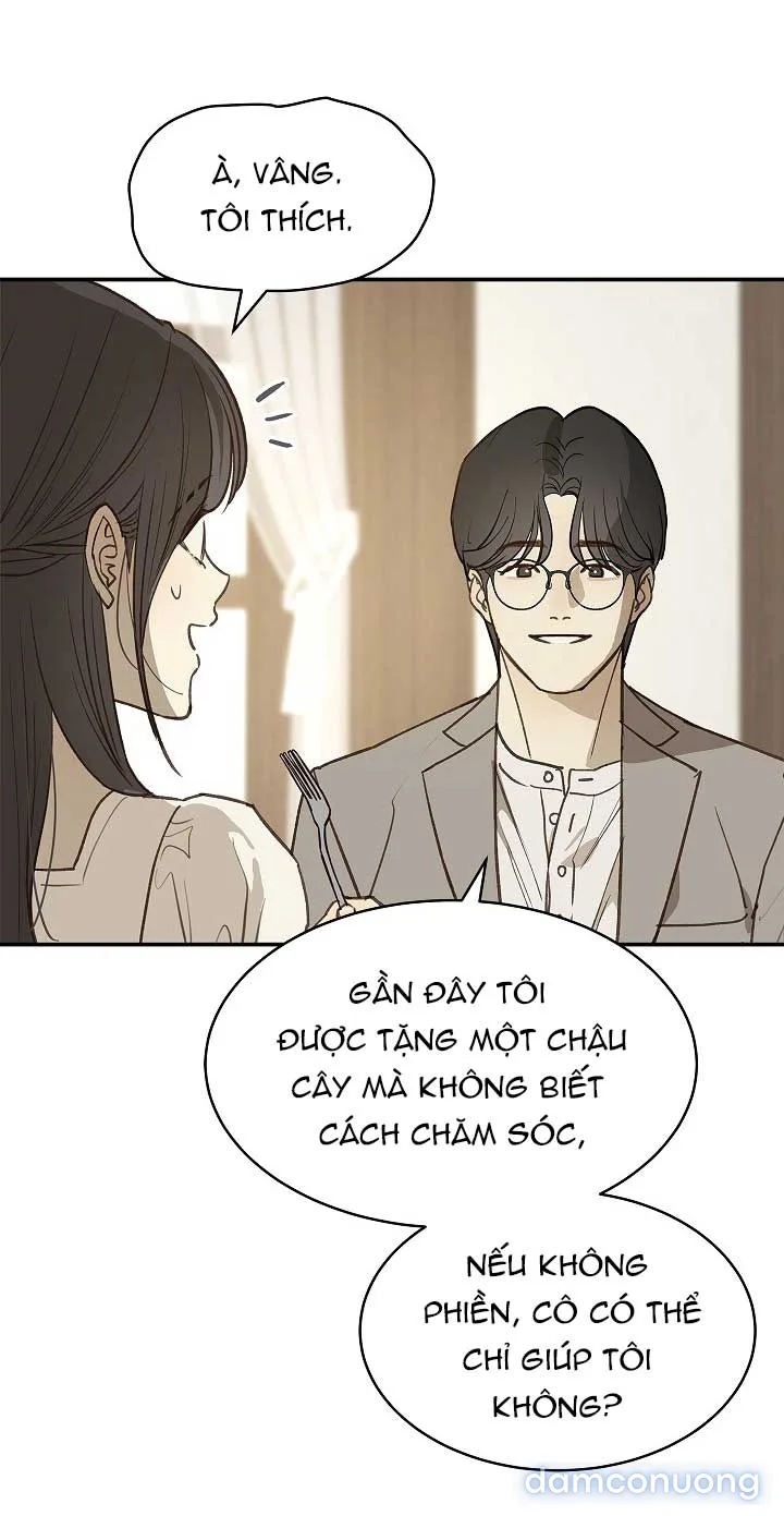 Đóa Hoa Là Mồi Nhử 