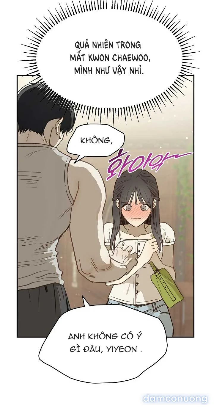 Đóa Hoa Là Mồi Nhử 