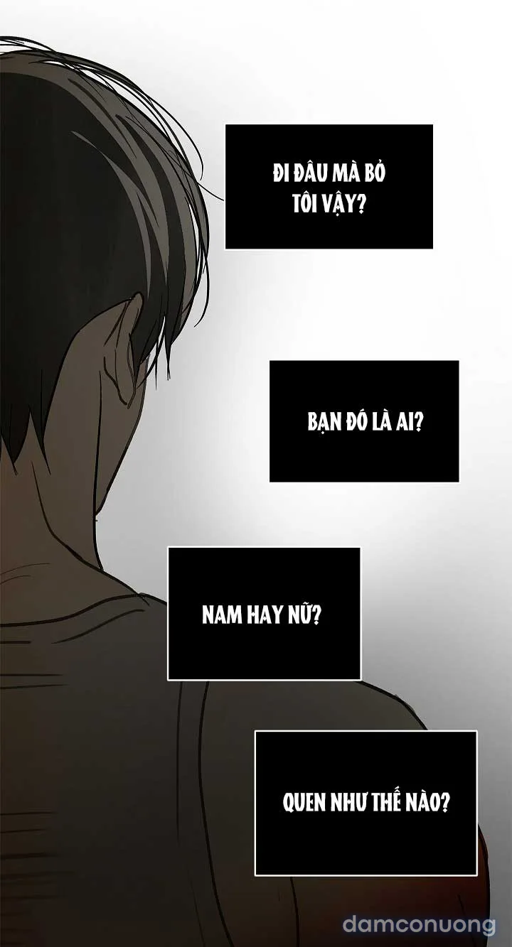 Đóa Hoa Là Mồi Nhử 
