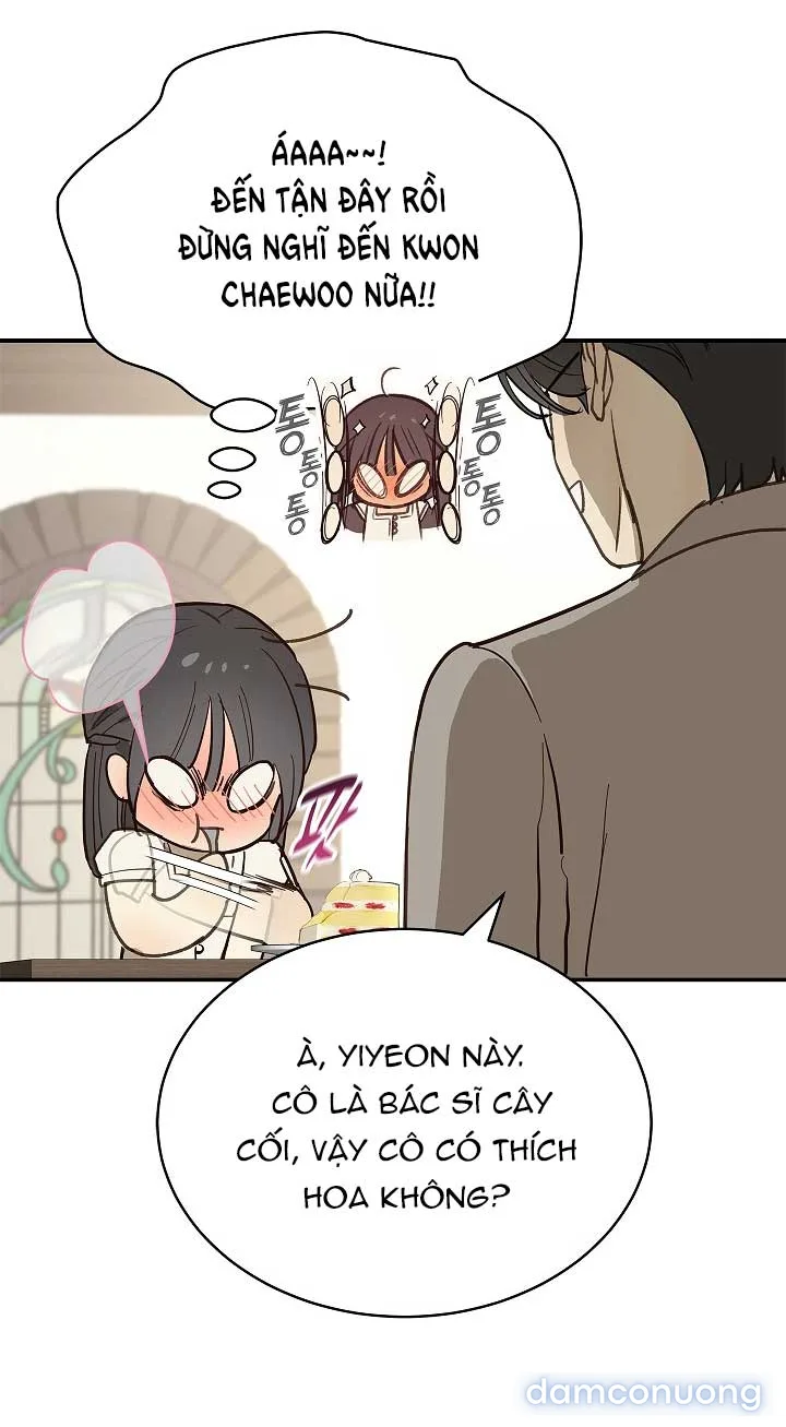 Đóa Hoa Là Mồi Nhử 