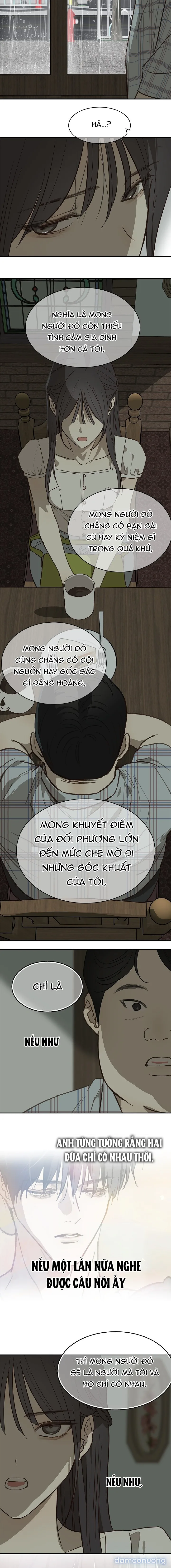 Đóa Hoa Là Mồi Nhử 