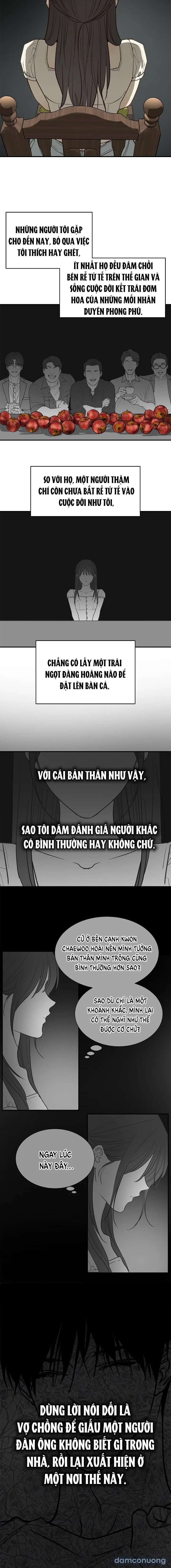 Đóa Hoa Là Mồi Nhử 