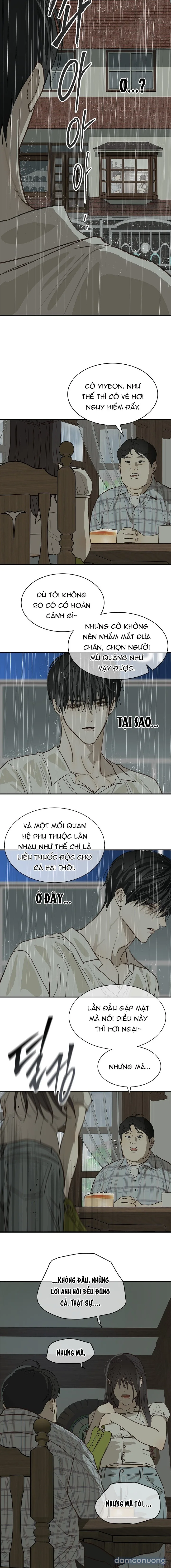 Đóa Hoa Là Mồi Nhử 