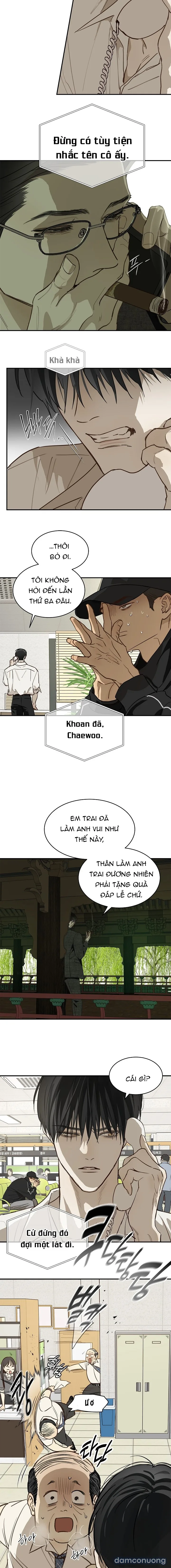 Đóa Hoa Là Mồi Nhử 