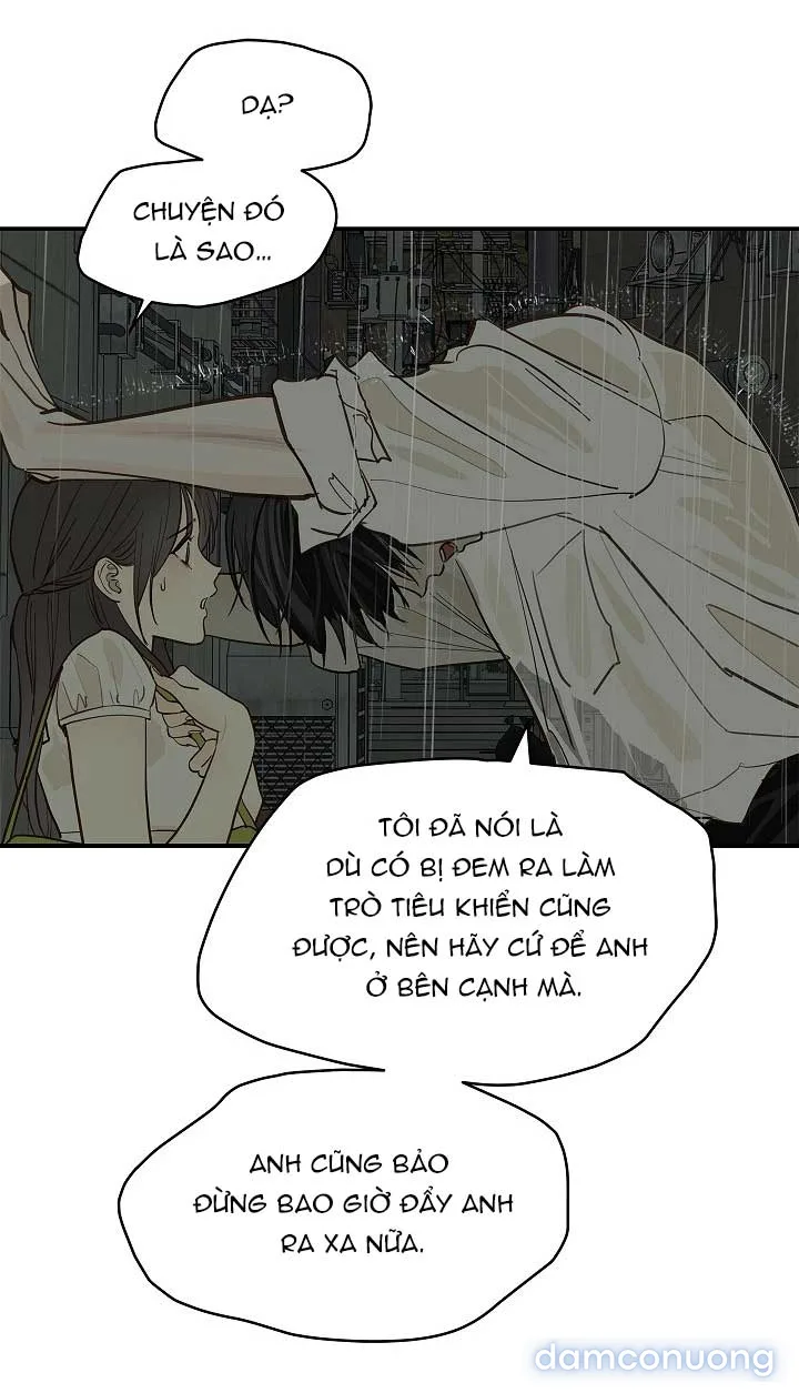 Đóa Hoa Là Mồi Nhử 