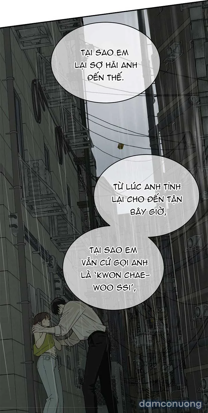 Đóa Hoa Là Mồi Nhử 