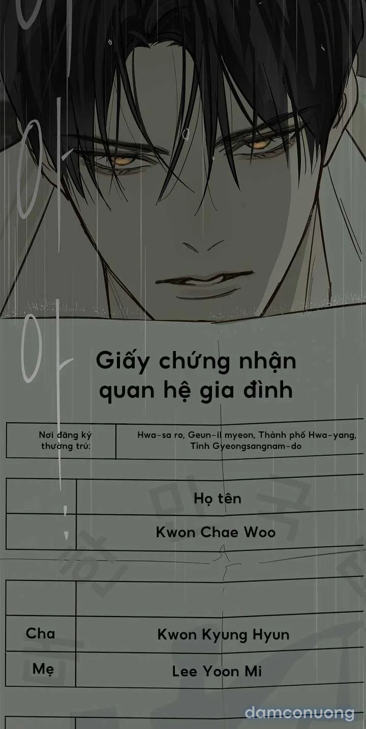 Đóa Hoa Là Mồi Nhử 