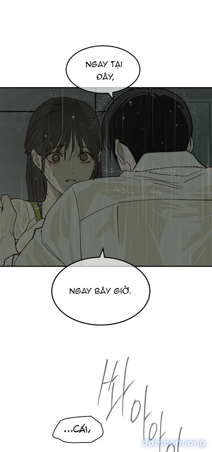 Đóa Hoa Là Mồi Nhử 